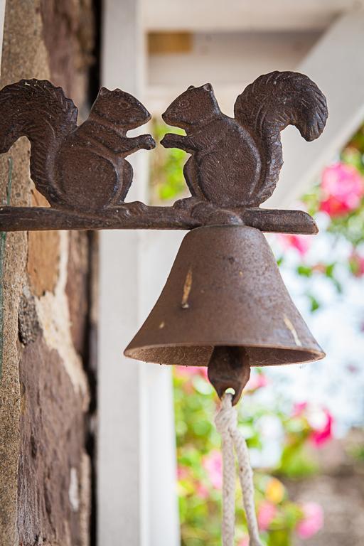 Stoodleigh Court Coach House Bed & Breakfast Tiverton  Eksteriør bilde